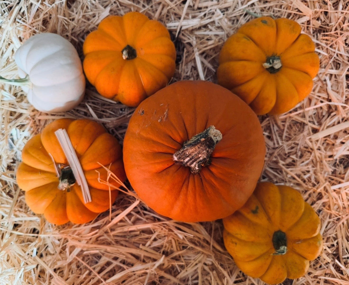 Welcoming Autumn 🍂. Pumpkin season, self-care and wellness on a budget.